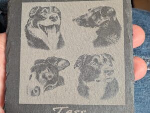 Pet Slate Coaster