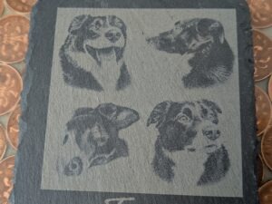 Customised Pet Laser Engraving